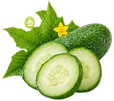 Celluvix Jordan - cucumber extract (Cucumis sativus fruit extract)