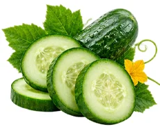 Celluvix Jordan - cucumber extract (Cucumis sativus fruit extract)